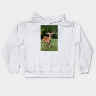 Velvety Buck - White-tailed deer Kids Hoodie